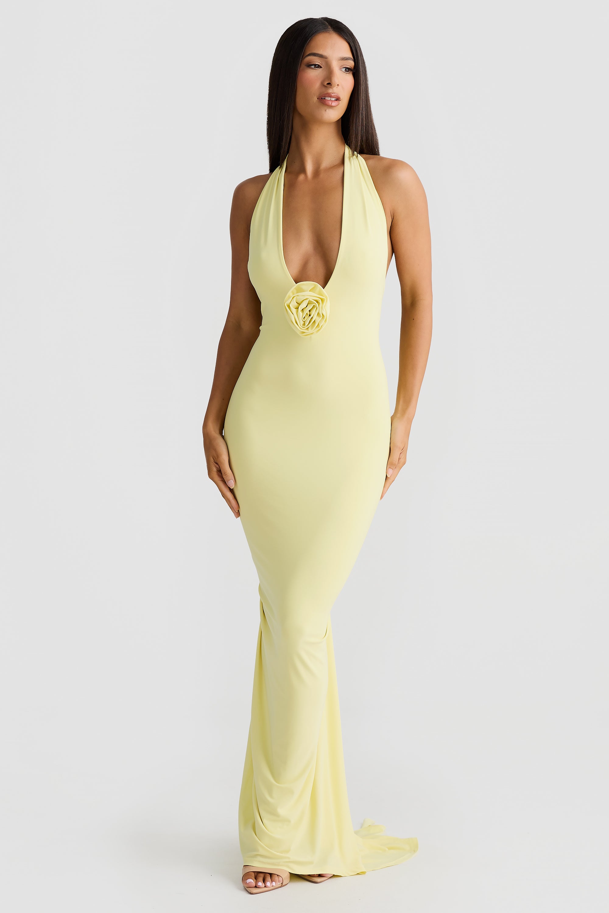 Bella Rose Dress