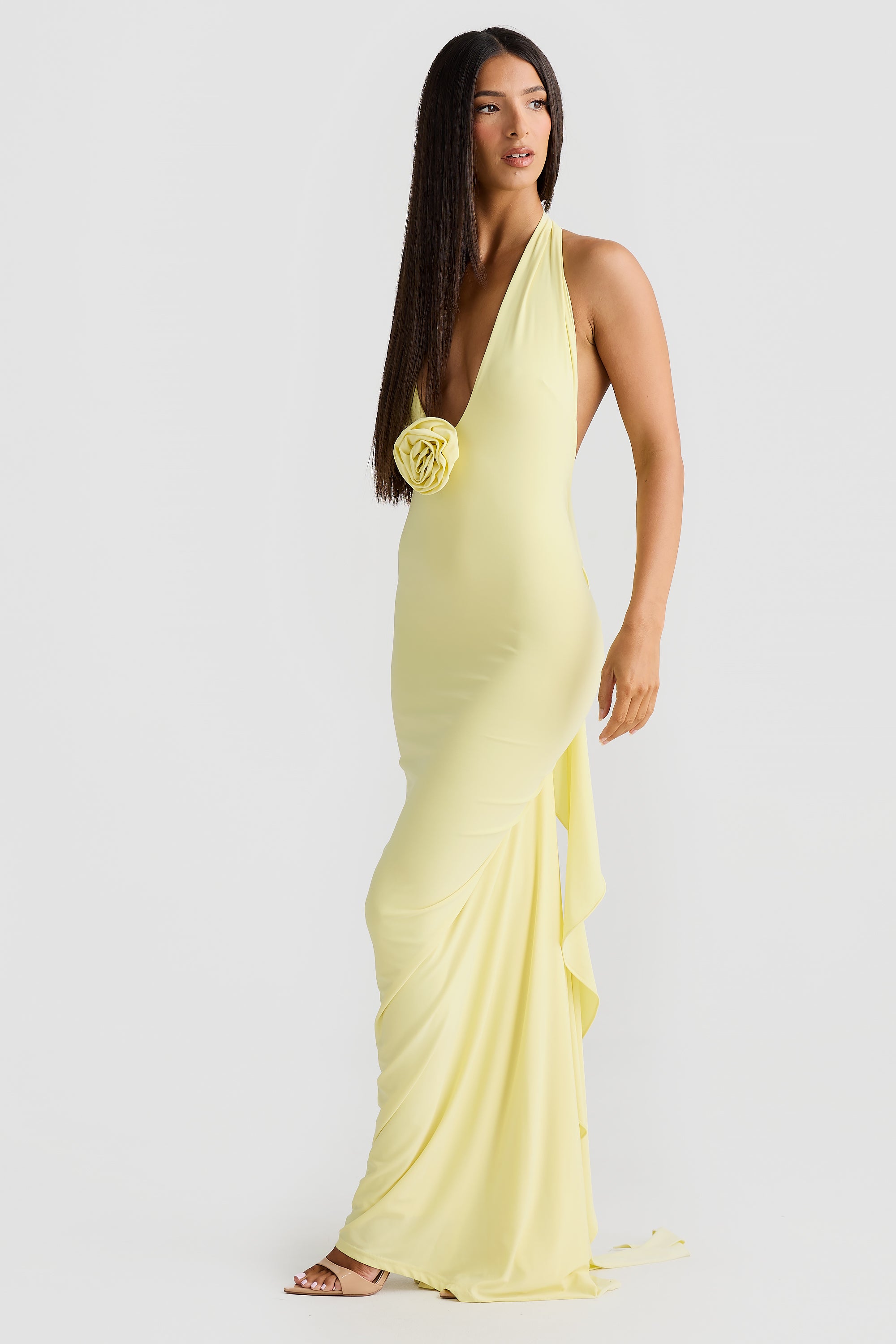 Bella Rose Dress
