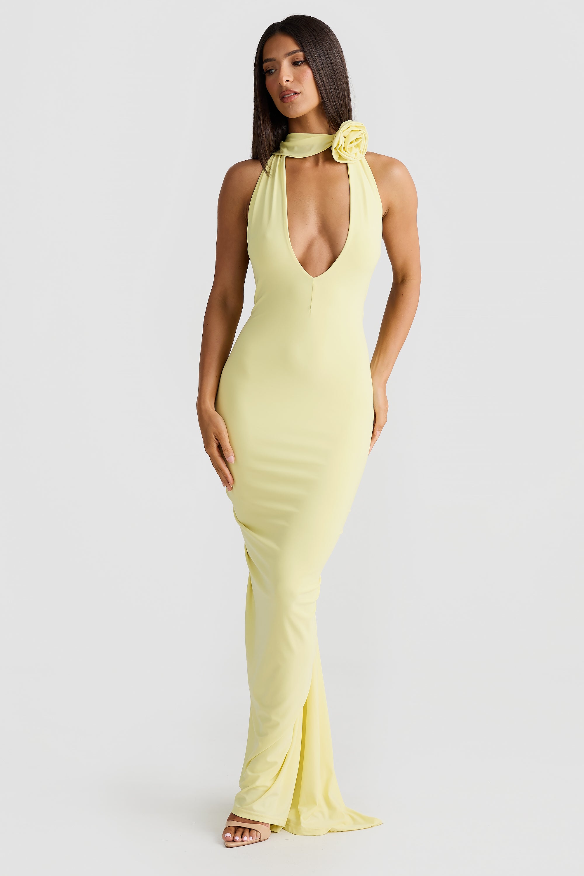 Bella Rose Dress