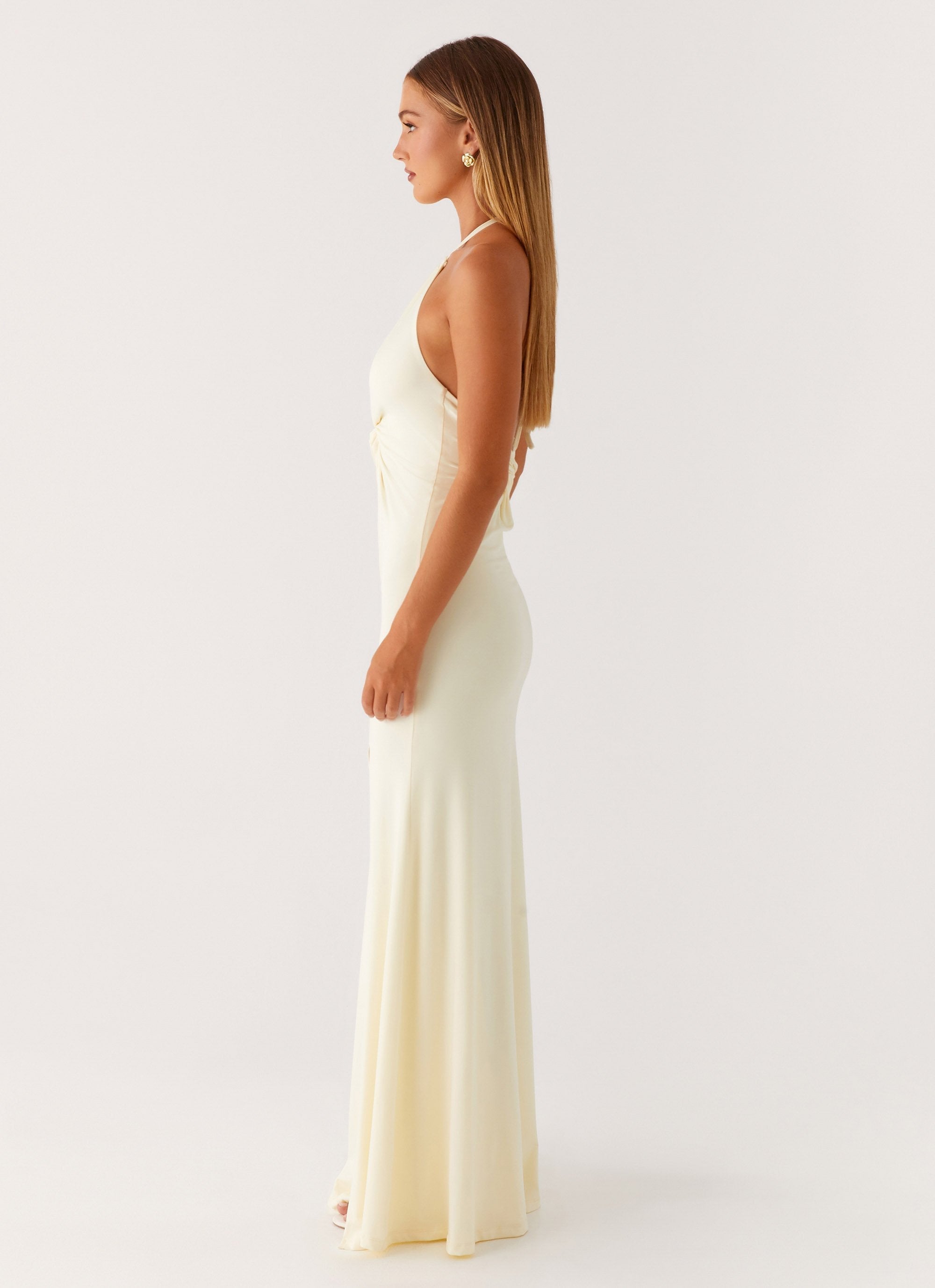 Sarya Elegant Long Dress